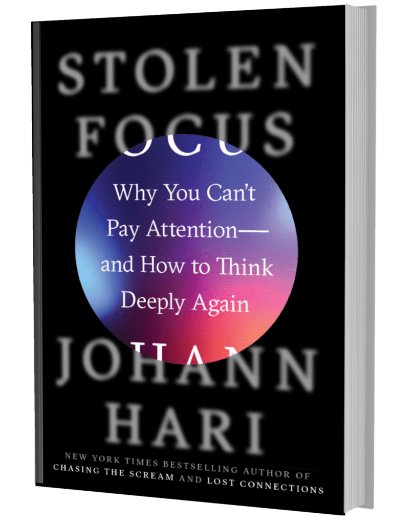 STOLEN FOCUS BOOK SUMMARY