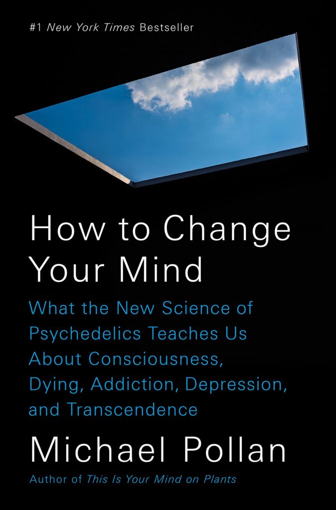 how to change your mind book summary