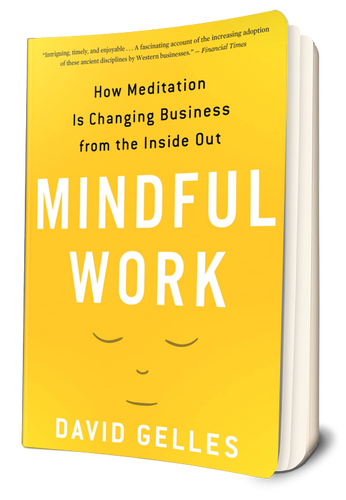 Mindful Work Book Summary