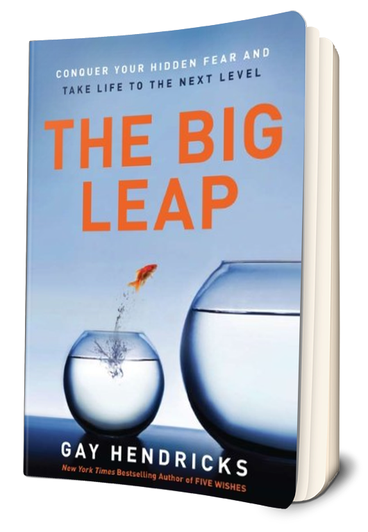 The Big Leap Book Summary